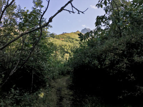 Abandoned tram towers: Bonanza Ridge