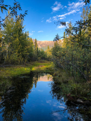 Early morning view: Path to McCarthy