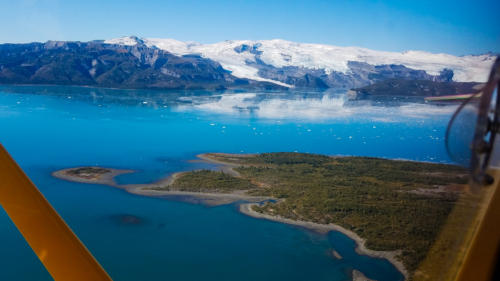 Icy Bay & Guyot Glacier